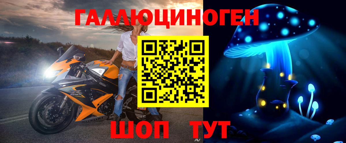 купить  сайты  Псилоцибиновые грибы ЛСД  Псков  Вход с VPN  Псилоцибиновые грибы Psilocybine cubensis 